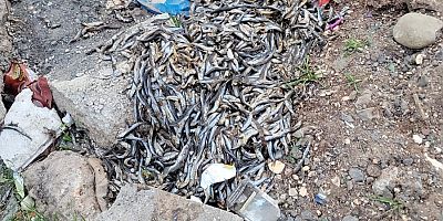 DİYARBAKIR BAĞCILAR’DA SKANDAL!