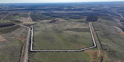 Diyarbakır Büyükşehir Belediyesi 195 dönüm üzerinde  yeni barınak kurulacak