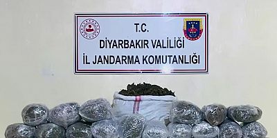 Diyarbakır'da 1 milyon 755 bin kök kenevir ve skunk ele geçirildi