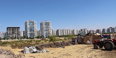 Diyarbakır'da 45 yıllık arazi mücadelesi: Emeğimiz yok sayılarak ihaleye çıkarıldı