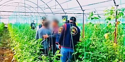  Diyarbakır'da işlenen 7 yıllık cinayet firarisi  Antalya'da sera bahçesinde yakalandı