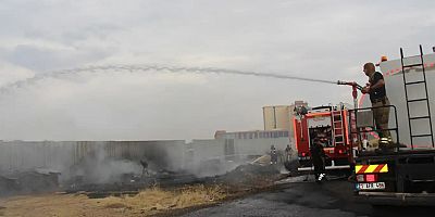 Diyarbakır'da anız yangını rüzgârın etkisiyle geniş alana yayıldı