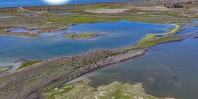 Diyarbakır’da Barajlarda Kontrollü Su Tahliyesi Başlatıldı