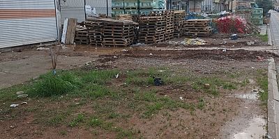 Diyarbakır’da Bir Siteyi Fareler Bastı, Vatandaşlar İsyan Etti