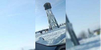 Diyarbakır’da buz tutan su kulesi tehlike saçıyor