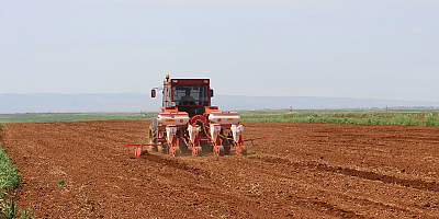 Diyarbakır'da çiftçiler pamuk ekimine başladı