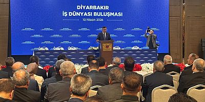 Diyarbakır’da Ekonomi Zirvesi: İş Dünyası Taleplerini Doğrudan İletti