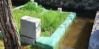 Diyarbakır’da İhmal Tepki Çekti: Şehitlik Mahallesi Mezarlığında Ziyaret Çilesi