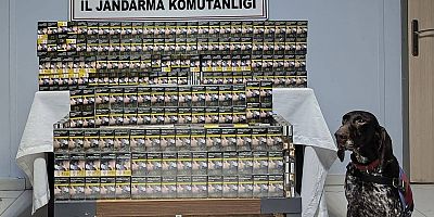 Diyarbakır’da kaçakçılık operasyonları: Çok sayıda kaçak ürün ele geçirildi