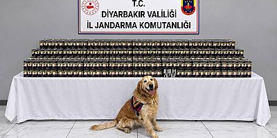 Diyarbakır’da kaçakçılık operasyonu: Binlerce paket sigara ele geçirildi