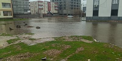 Diyarbakır'da kanalizasyon taşkını: Sokak göle döndü