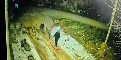 Diyarbakır’da kayıp kadının son görüntüleri ortaya çıktı