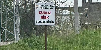 Diyarbakır’da Kuduz Paniği: 3 Yaşındaki Çocuk Tedavi Altına Alındı