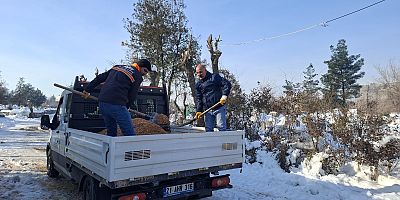 Diyarbakır’da Mezarlıklarda Karla Mücadele