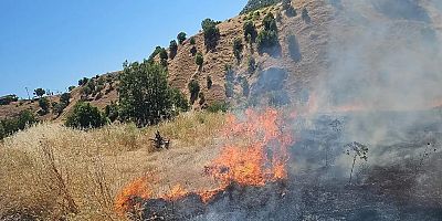 Diyarbakır'da ormanlık alanda yangın çıktı