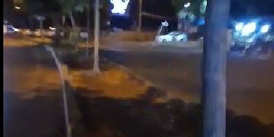 Diyarbakır'da Orta Refüjlerde Kuraklık: Çimler Kurudu, Ağaçlar Tehlikede