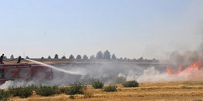 Diyarbakır'da rüzgarın etkisiyle hızla yayılan anız yangını söndürüldü