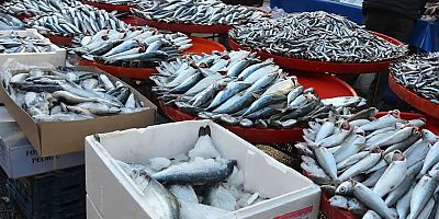 Diyarbakır’da Soğuk hava balık tezgahlarına da vurdu