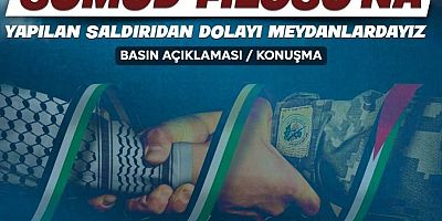 Diyarbakır’da STK’lardan Küresel Sumud Filosu’na yönelik saldırıya tepki: “Hakkı haykırmak için meydanlardayız”