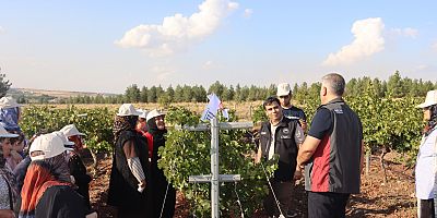 DİYARBAKIR’DA UYGULAMALI ÜZÜM HASADI VE MUHAFAZA TEKNİKLERİ EĞİTİMİ