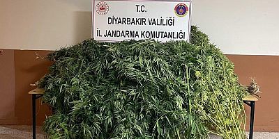 Diyarbakır’da Uyuşturucu Operasyonları: 73 Olayda 32 Şüpheliye İşlem Yapıldı