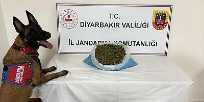 Diyarbakır’da uyuşturucu operasyonu: 14 şüpheli yakalandı