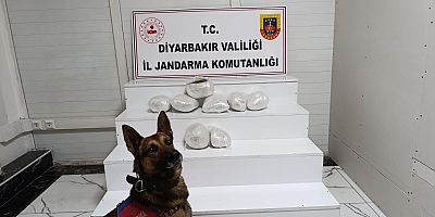 Diyarbakır’da Uyuşturucu Operasyonu: 150 Şüpheli Hakkında İşlem Yapıldı