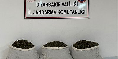 Diyarbakır’da Uyuşturucu Operasyonu: 19,4 Kilo Esrar Ele Geçirildi