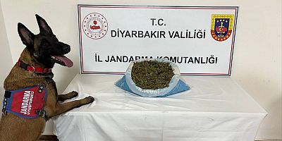 Diyarbakır’da Uyuşturucu Operasyonu: 23 Kilogram Esrar Ele Geçirildi