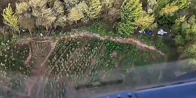 Diyarbakır'da yaklaşık bir buçuk milyon kenevir ve skunk ele geçirildi
