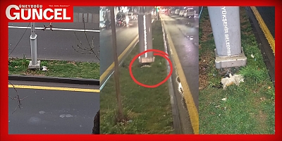 Diyarbakır'a yakışmayan görüntüler  
