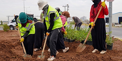Diyarbakır’da yıl sonuna kadar 21 bin ağaç dikilecek