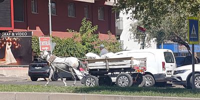 Diyarbakır’da yıllar sonra at arabası görüldü: Geçmişin izi mi, geçim mücadelesi mi?