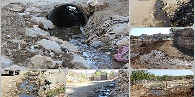 Diyarbakır'daki bu mahallenin altyapı sorunu ölüm saçıyor