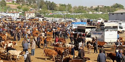 Diyarbakır Hayvan Borsası’nda besicilerin çilesi bitmiyor