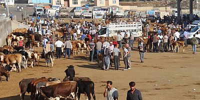 Diyarbakır hayvan pazarı 4 ay sonra yeniden açıldı