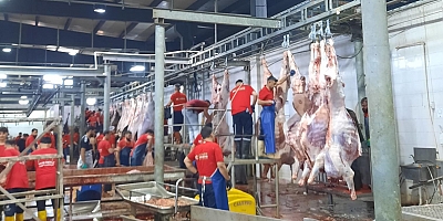 Diyarbakır İl Tarım ve Orman Müdürlüğü’nden Kurban Bayramı Denetimi