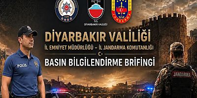 Diyarbakır'ın 7 aylık asayiş tablosu açıklandı