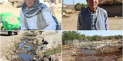 Diyarbakır’ın Dedeköy Mahallesi'ndeki altyapı sorunu hastalık saçıyor