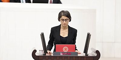 Diyarbakır Milletvekili Ceylan Akça Cupolo, Uçak Seferleri Konusunda Meclise Dilekçe Verdi
