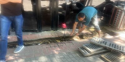 Diyarbakır Sanat Sokağı'nda Tepki: Mazgalları Belediye Yerine Esnaf Temizledi
