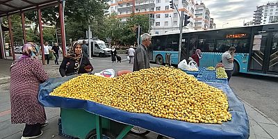 Diyarbakır Tezgâhlarında Sonbahar Bereketi: Alıç (Givij) 300 TL’den Satılıyor