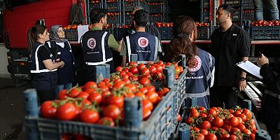 Diyarbakır Ticaret İl Müdürlüğü’nden Sebze ve Meyve Hali ile Otogarda Fahiş Fiyat Denetimi