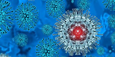 DSÖ'den M çiçeği virüsü için küresel salgın uyarısı