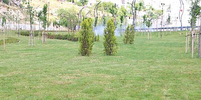 Eğil girişinde peyzaj çalışmaları tamamlandı