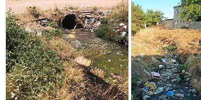 Eğil Sarıca Mahallesi'nde Çevre Kirliliği Tepki Çekti: Vatandaşlar Kalıcı Çözüm İstiyor
