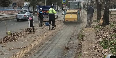 Ekipler temiz bir Bağlar için kesintisiz mesaide