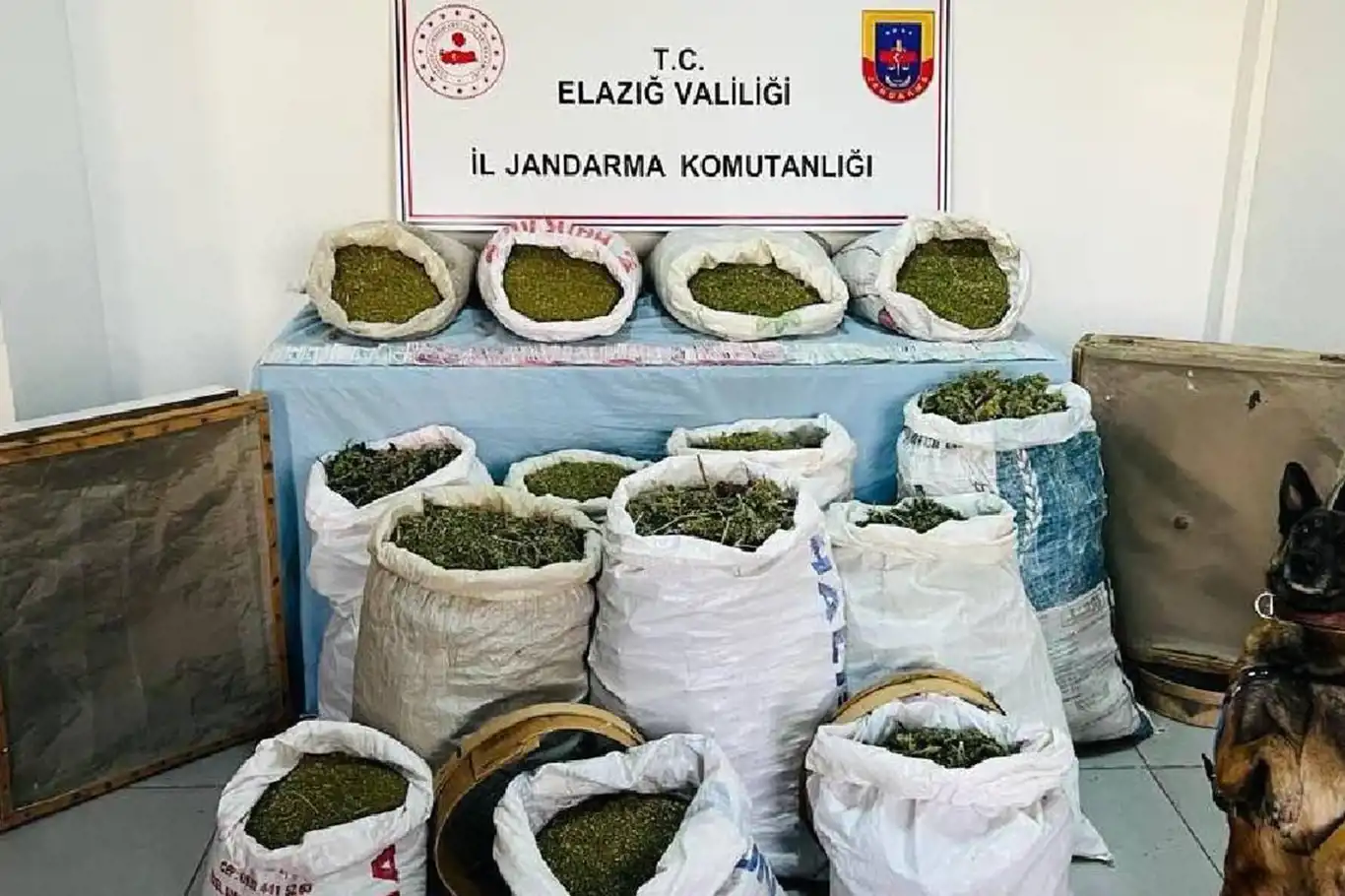 Elazığ'da 241 kilo esrar ele geçirildi