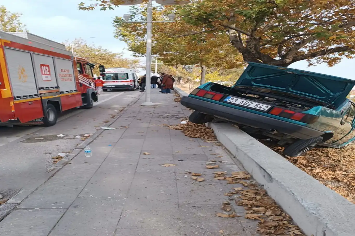 Elazığ'da otomobil kaldırıma çıkıp ağaca çarptı : 3 yaralı