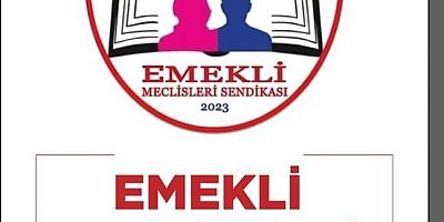 EMEKLİ MECLİSLERİ SENDİKASI TÜRKİYE KOORDİNASYONU: KAMU VİCDANINA ÇAĞRI